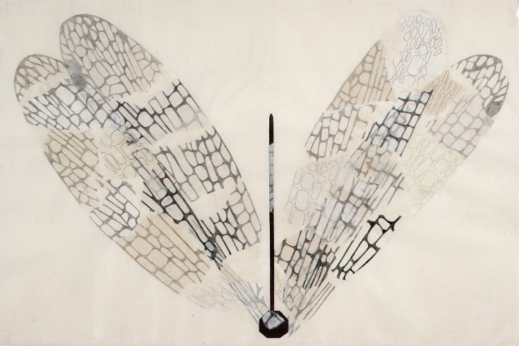 2017 - Libélula IV, Grafito, crayon y tinta sobre papel, 80 x 135 cm